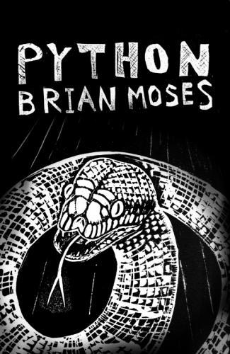 Бумажная книга «Python», автор Брайан Мозес - фото №1