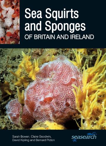 Бумажная книга «Sea Squirts and Sponges of Britain and Ireland», авторов Бернар Пиктон, Клэр Гудвин, Дэвид Киплинг, Сара Боуэн - фото №1