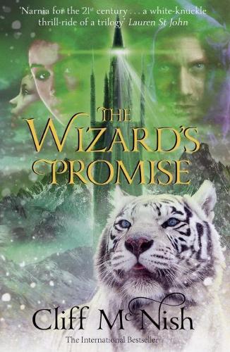 Бумажная книга «The Wizard's Promise», автор Клифф Макниш - фото №1