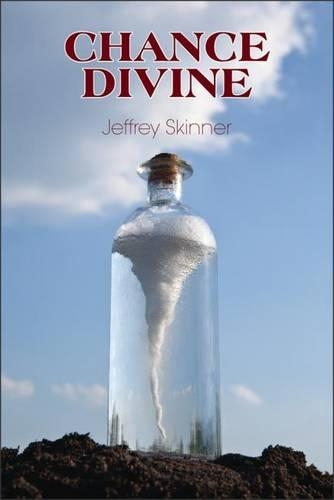 Паперова книга «Chance Divine», автор Джеффрі Скіннер - фото №1