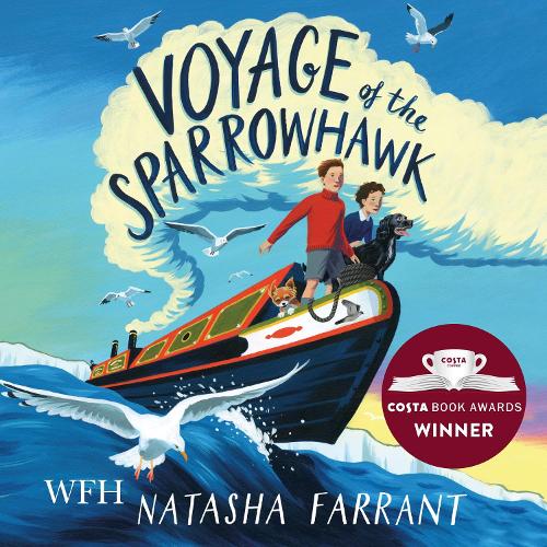 Аудиокнига «Voyage of the Sparrowhawk» - фото №1
