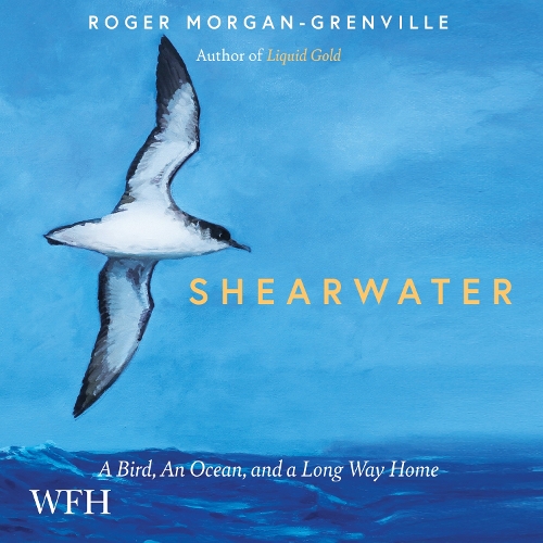 Аудіокнига «Shearwater: A Bird, an Ocean, and a Long Way Home», автор Роджер Морган-Гренвіль - фото №1