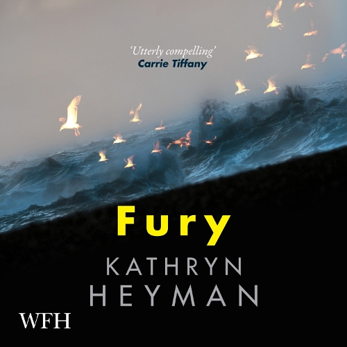 Аудиокнига «Fury», автор Кэтрин Хейман - фото №1