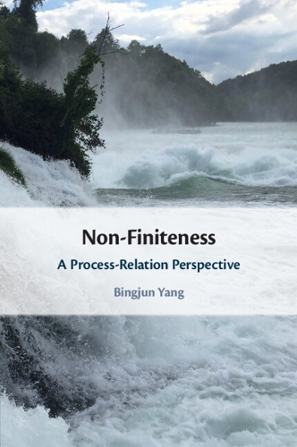 [object Object] «Non-Finiteness: A Process-Relation Perspective», автор Бінцзюнь Ян - фото №1