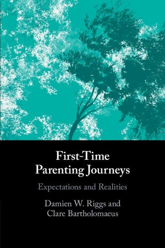 Бумажная книга «First-Time Parenting Journeys: Expectations and Realities», авторов Клэр Бартоломеус, Дэмиен В. Риггс - фото №1