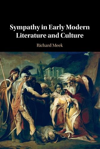 Паперова книга «Sympathy in Early Modern Literature and Culture», автор Річард Мік - фото №1