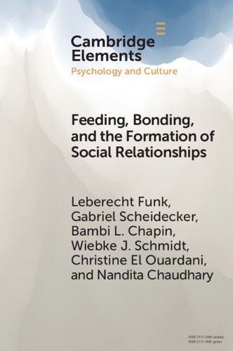 Бумажная книга «Feeding, Bonding, and the Formation of Social Relationships: Ethnographic Challenges to Attachment Theory and Early Childhood Interventions», авторов Бэмби Л. Чэпин, Габриэль Шайдеккер, Нандита Чаудхари - фото №1