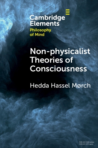 Бумажная книга «Non-physicalist Theories of Consciousness», автор Хедда Хассель Морч - фото №1