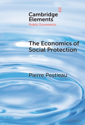 Паперова книга «The Economics of Social Protection», автор П'єр Пестьє - фото №1