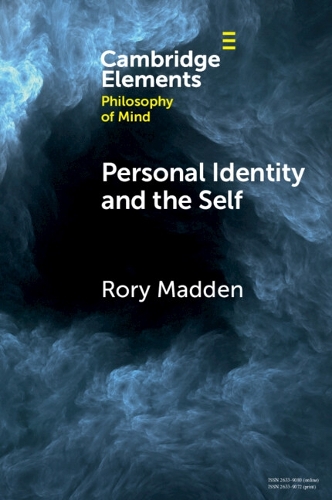 Бумажная книга «Personal Identity and the Self», автор Рори Мэдден - фото №1