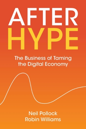 Паперова книга «After Hype: The Business of Taming the Digital Economy», авторів Ніл Поллок, Робін Вільямс - фото №1