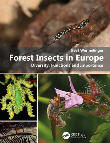 Бумажная книга «Forest Insects in Europe: Diversity, Functions and Importance», автор Бит Вермелингер - фото №1