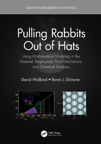 Бумажная книга «Pulling Rabbits Out of Hats: Using Mathematical Modeling in the Material, Biophysical, Fluid Mechanical, and Chemical Sciences», авторов Бонни Дж. Дихон, Дэвид Волкинд - фото №1