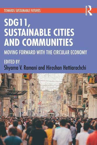 Бумажная книга «SDG11, Sustainable Cities and Communities» - фото №1