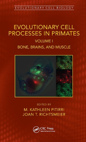 Паперова книга «Evolutionary Cell Processes in Primates: Bone, Brains, and Muscle, Volume I» - фото №1