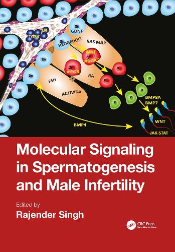 Паперова книга «Molecular Signaling in Spermatogenesis and Male Infertility» - фото №1