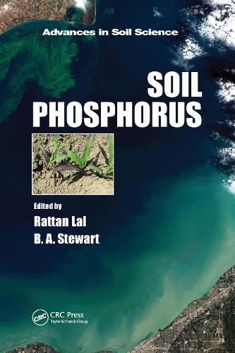 Паперова книга «Soil Phosphorus» - фото №1
