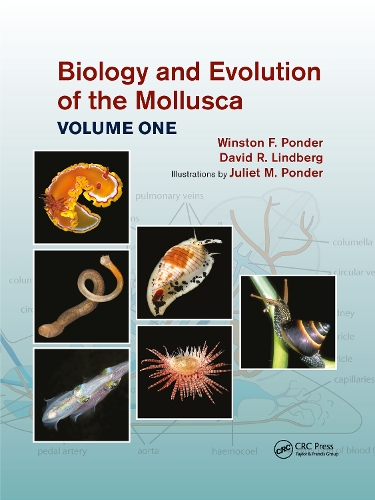 Паперова книга «Biology and Evolution of the Mollusca, Volume 1», авторів Девід Р. Ліндберг, Джульєтта Мері Пондер, Вінстон Френк Пондер - фото №1