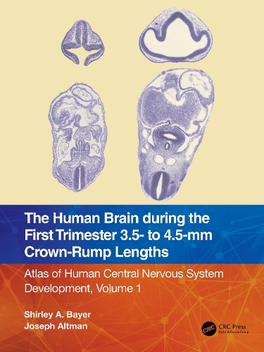 [object Object] «The Human Brain during the First Trimester 3.5- to 4.5-mm Crown-Rump Lengths: Atlas of Human Central Nervous System Development, Volume 1», авторов Джозеф Альтман, Ширли А. Байер - фото №1