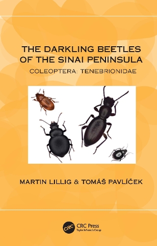 Паперова книга «The Darkling Beetles of the Sinai Peninsula: Coleoptera: Tenebrionidae», авторів Мартін Лілліг, Томаш Павлічек - фото №1