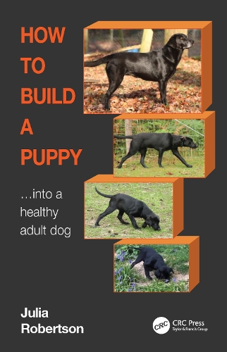 Паперова книга «How to Build a Puppy: Into a Healthy Adult Dog», автор Джулія Робертсон - фото №1