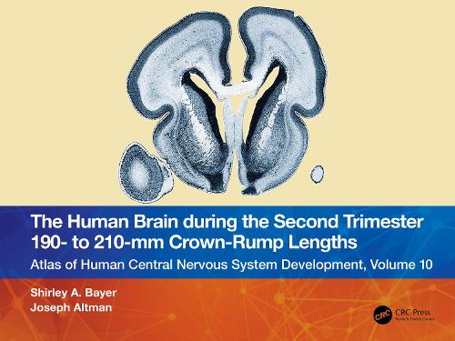 [object Object] «The Human Brain during the Second Trimester 190– to 210–mm Crown-Rump Lengths: Atlas of Human Central Nervous System Development, Volume 10», авторів Джозеф Альтман, Ширлі А. Байєр - фото №1
