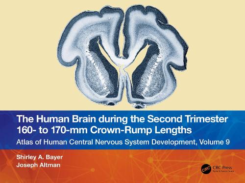 [object Object] «The Human Brain during the Second Trimester 160– to 170–mm Crown-Rump Lengths: Atlas of Human Central Nervous System Development, Volume 9», авторів Джозеф Альтман, Ширлі А. Байєр - фото №1