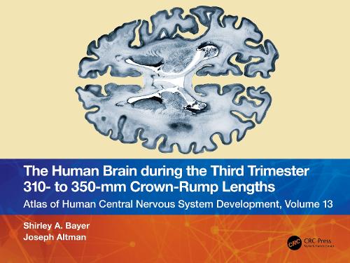 [object Object] «The Human Brain during the Third Trimester 310– to 350–mm Crown-Rump Lengths: Atlas of Central Nervous System Development, Volume 13», авторов Джозеф Альтман, Ширли А. Байер - фото №1