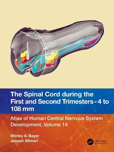 [object Object] «The Spinal Cord during the First and Second Trimesters - 4 to 108 mm: Atlas of Central Nervous System Development, Volume 14», авторов Джозеф Альтман, Ширли А. Байер - фото №1