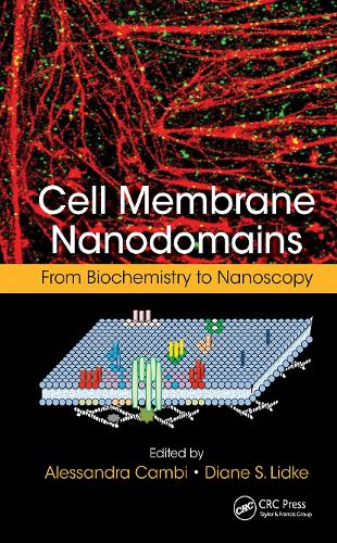 [object Object] «Cell Membrane Nanodomains: From Biochemistry to Nanoscopy» - фото №1