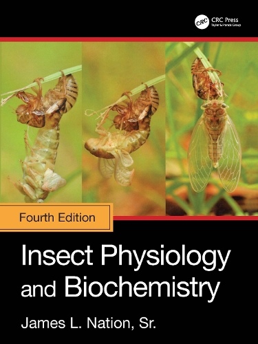 Бумажная книга «Insect Physiology and Biochemistry», автор Джеймс Л. Нейшн, старший - фото №1