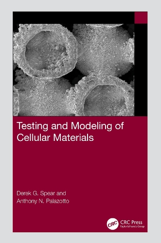 Бумажная книга «Testing and Modeling of Cellular Materials», авторов Энтони Н Палазотто, Дерек Г Спир - фото №1