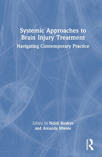 Паперова книга «Systemic Approaches to Brain Injury Treatment: Navigating Contemporary Practice» - фото №1