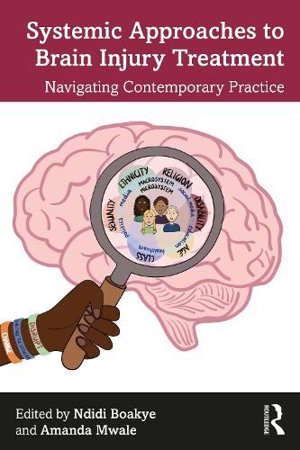 Паперова книга «Systemic Approaches to Brain Injury Treatment: Navigating Contemporary Practice» - фото №1