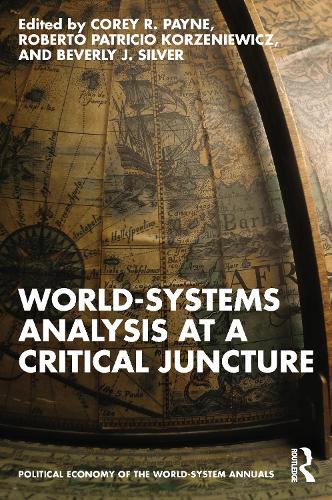 Паперова книга «World-Systems Analysis at a Critical Juncture» - фото №1