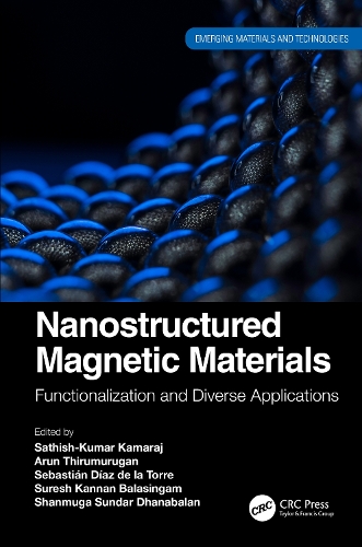[object Object] «Nanostructured Magnetic Materials: Functionalization and Diverse Applications» - фото №1