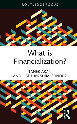 Бумажная книга «What is Financialization?», авторов Халил Ибрагим Гюндюз, Танер Акан - фото №1