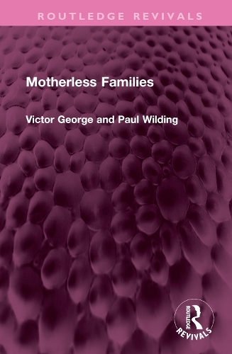 Бумажная книга «Motherless Families», авторов Пол Уилдинг, Виктор Джордж - фото №1
