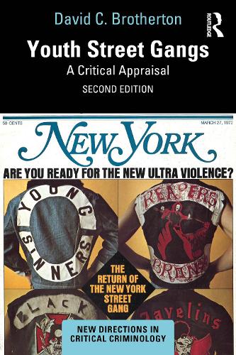 Бумажная книга «Youth Street Gangs: A Critical Appraisal», автор Дэвид К. Бразертон - фото №1