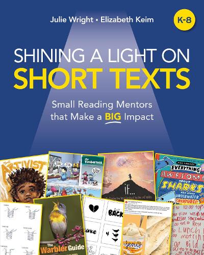 Бумажная книга «Shining a Light on Short Texts: Small Reading Mentors that Make a Big Impact», автор Джули Райт - фото №1
