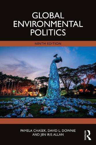Паперова книга «Global Environmental Politics», авторів Девід Л. Дауні, Джен Айріс Аллан - фото №1