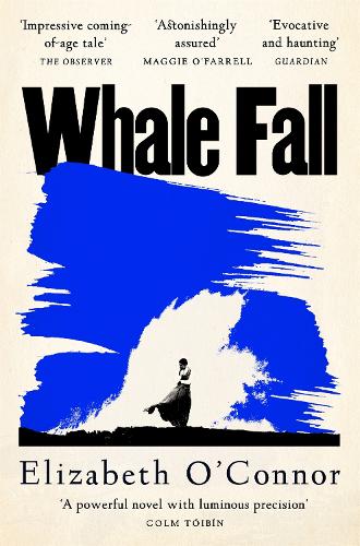 [object Object] «Whale Fall», автор Елізабет О'Коннор - фото №1