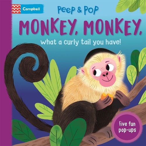 [object Object] «Monkey, Monkey, What A Curly Tail You Have!», автор Campbell Books - фото №1