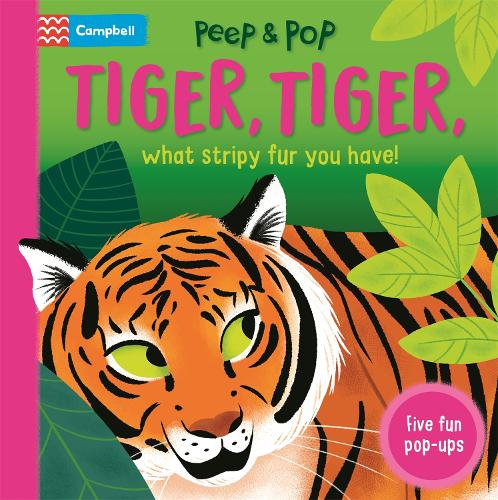 Бумажная книга «Tiger, Tiger, What Stripy Fur You Have!», автор Campbell Books - фото №1