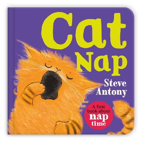 Бумажная книга «Cat Nap: A First Book About Naptime», автор Стив Антони - фото №1