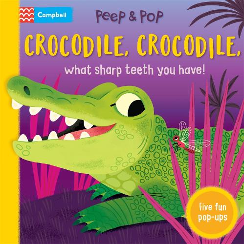 Бумажная книга «Crocodile, Crocodile, What Sharp Teeth You Have!», автор Campbell Books - фото №1