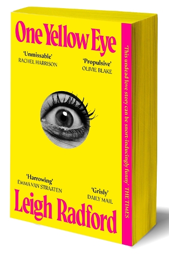Бумажная книга «One Yellow Eye», автор Ли Радфорд - фото №1