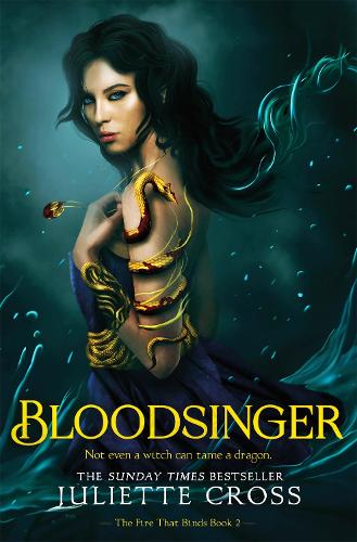 Бумажная книга «Bloodsinger», автор Джульетта Кросс - фото №1