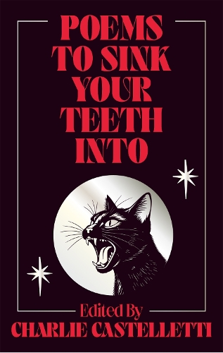 Паперова книга «Poems to Sink Your Teeth Into», автор Чарлі Кастеллетті - фото №1