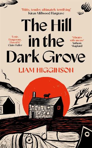 Бумажная книга «The Hill in the Dark Grove», автор Лиам Хиггинсон - фото №1